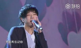 得得爱视频,探索情感共鸣的视觉之旅